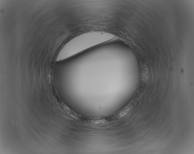 X0000070180716200605260940