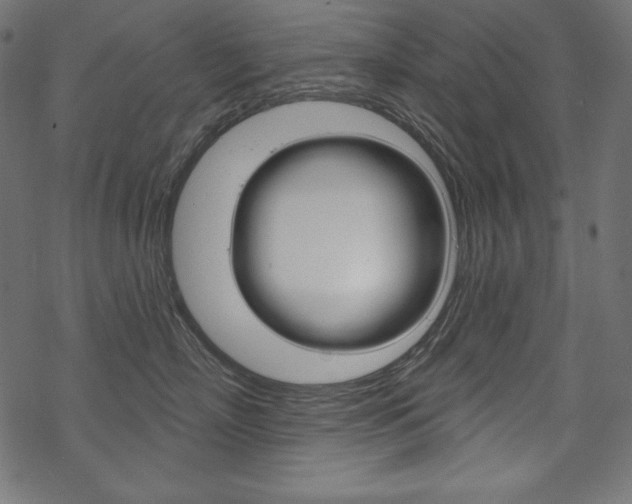 X0000070180718200605260940