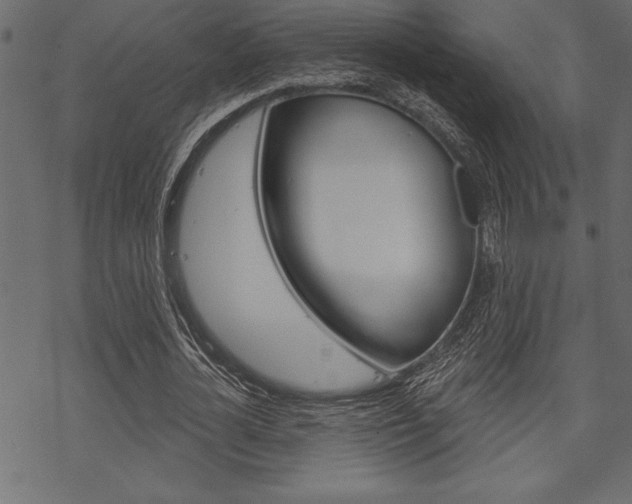 X0000070180724200605260939