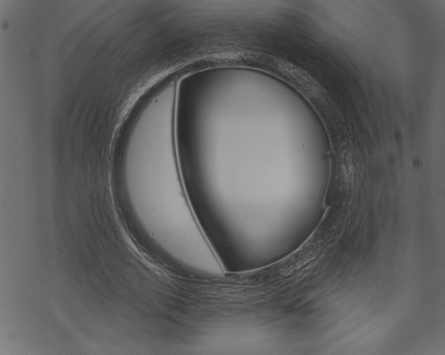 X0000070180728200605260939