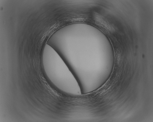 X0000070180729200605260939