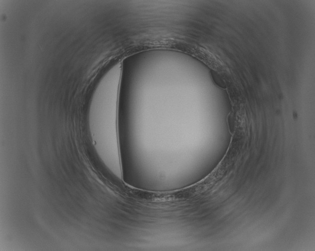 X0000070180744200605260939