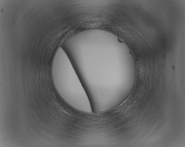 X0000070180745200605260939
