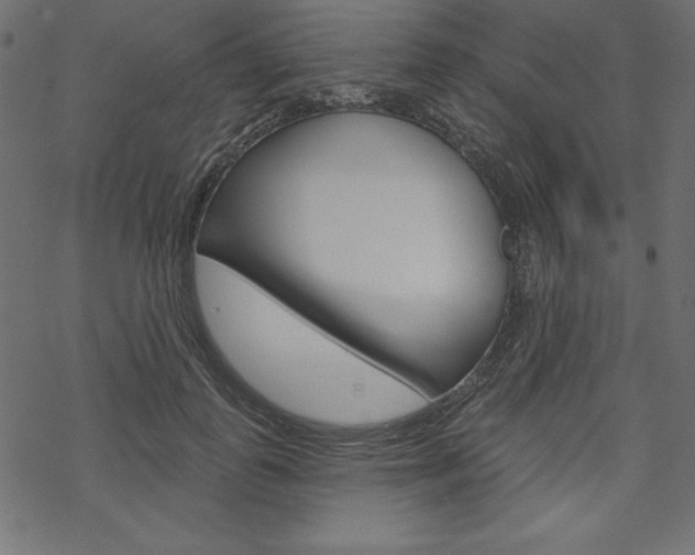 X0000070180747200605260939