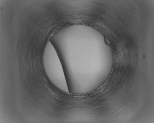 X0000070180749200605260939
