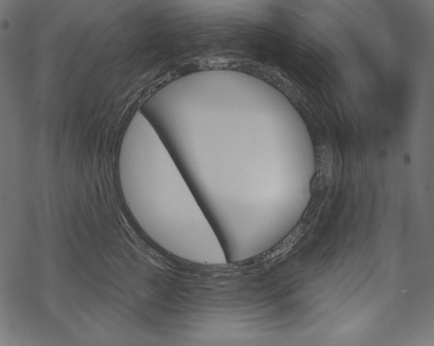 X0000070180761200605260940