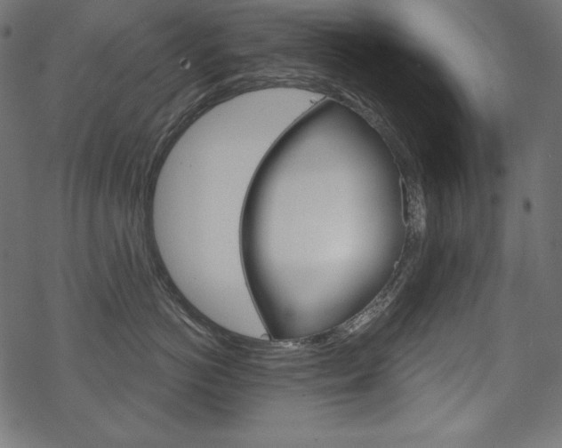 X0000070180766200605260940