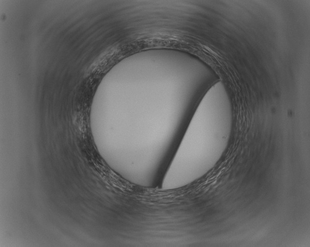 X0000070180774200605260939