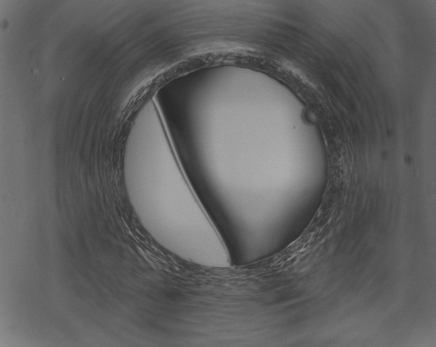 X0000070180775200605260939