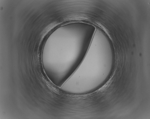 X0000070180779200605260939