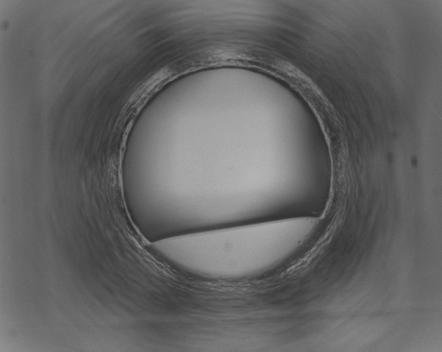 X0000070180785200605260939