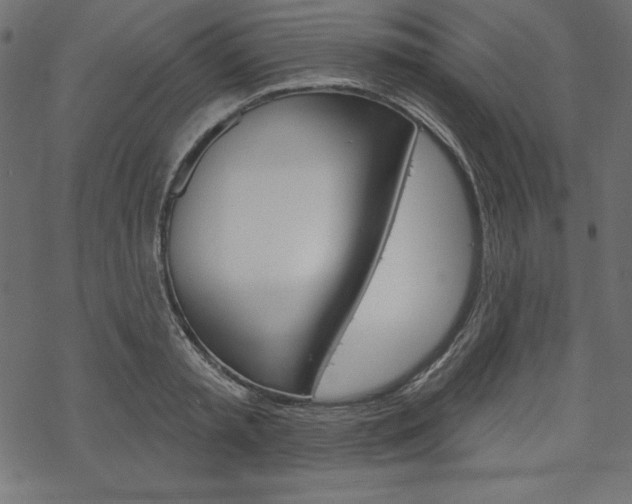X0000070180797200605260938