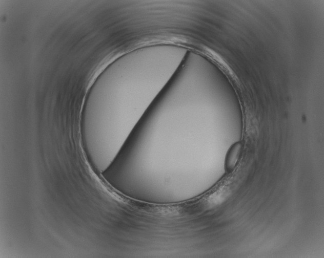 X0000070180802200605260938