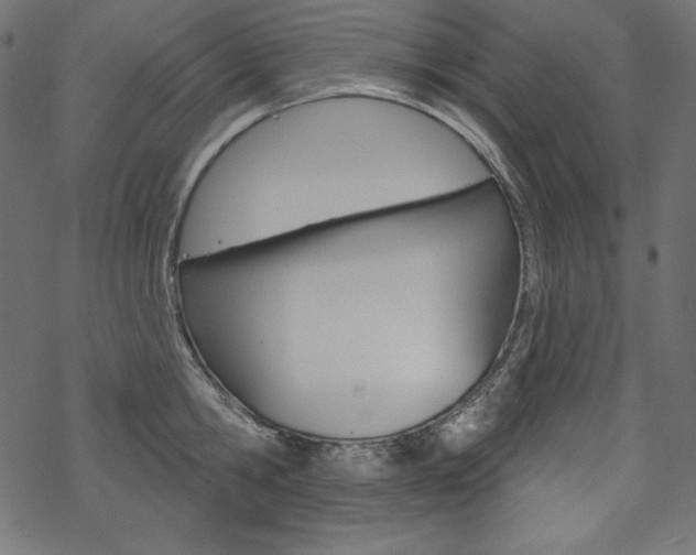 X0000070180806200605260938