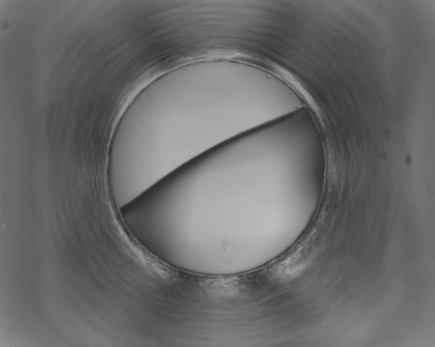 X0000070180810200605260938