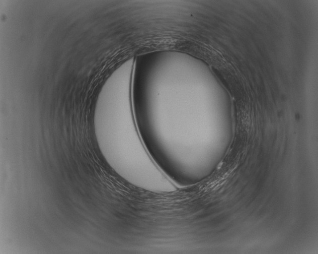 X0000070180818200605260937