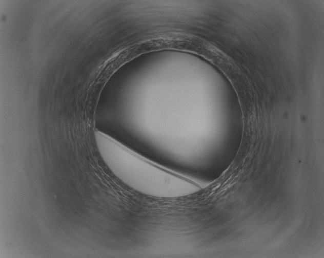 X0000070180822200605260937