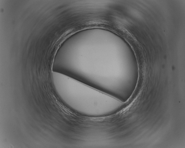 X0000070180825200605260938
