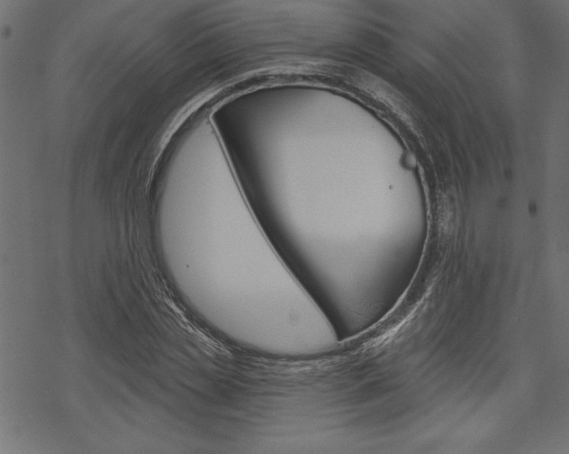 X0000070180829200605260938