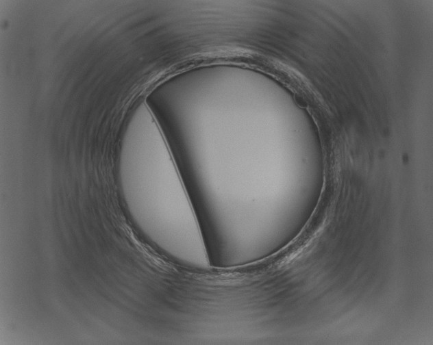 X0000070180833200605260938