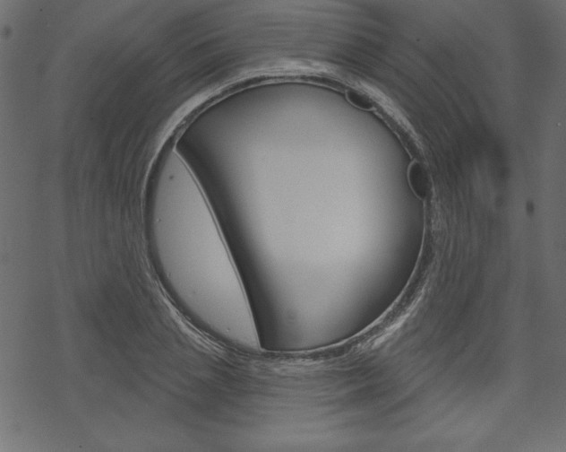 X0000070180837200605260938
