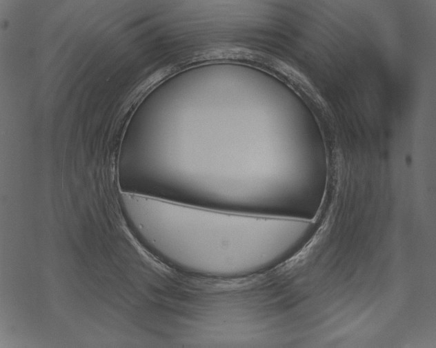 X0000070180841200605260938