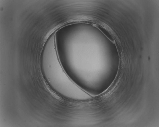 X0000070180842200605260938