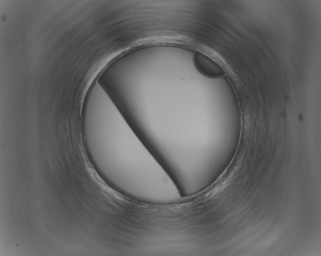 X0000070180844200605260938