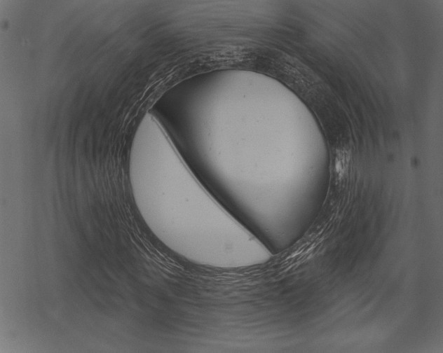 X0000070180867200605260937