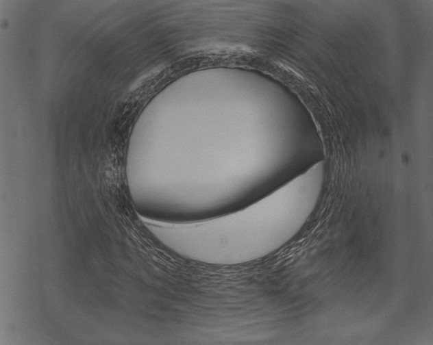 X0000070180869200605260937