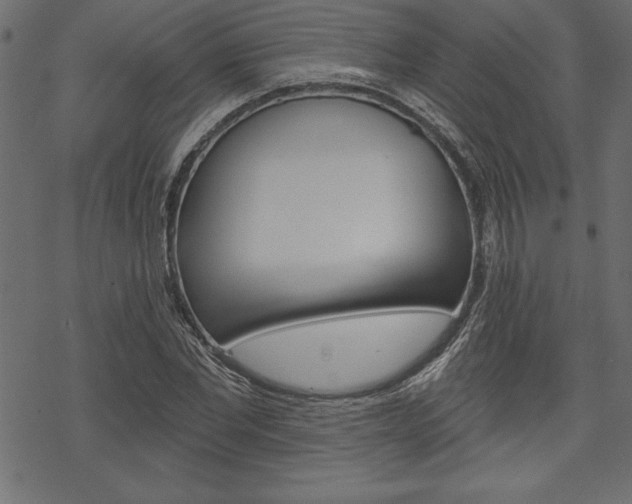 X0000070180877200605260937