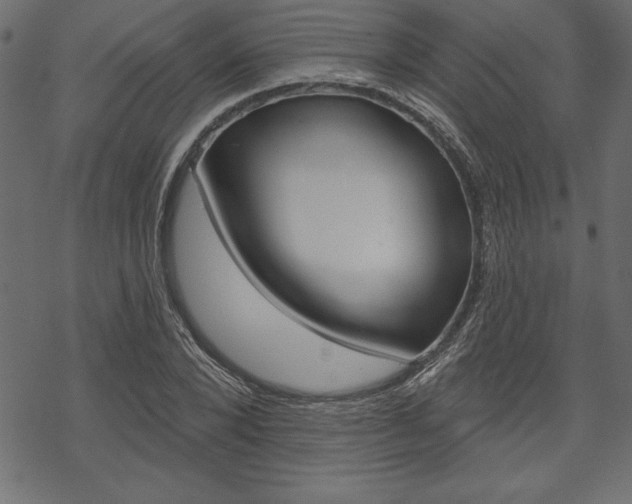 X0000070180880200605260937