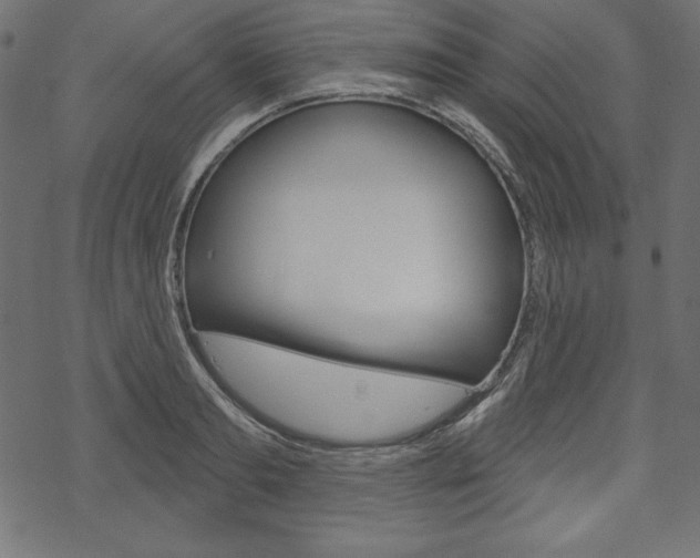 X0000070180893200605260937