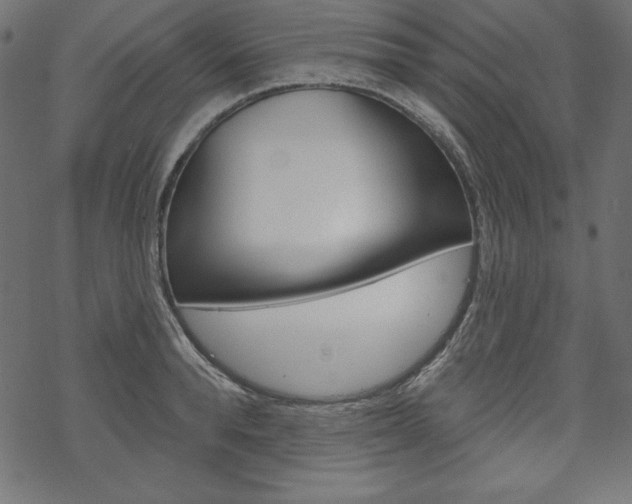 X0000070180896200605260937