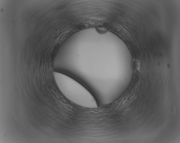 X0000070180915200605260936