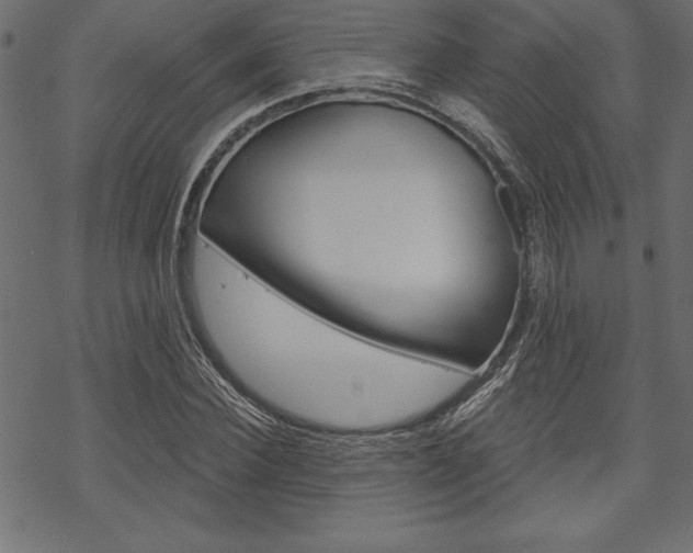 X0000070180924200605260936