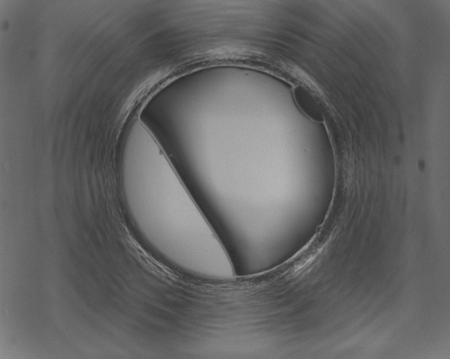 X0000070180930200605260936