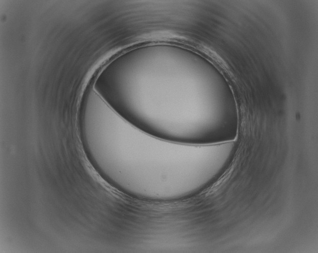 X0000070180939200605260936