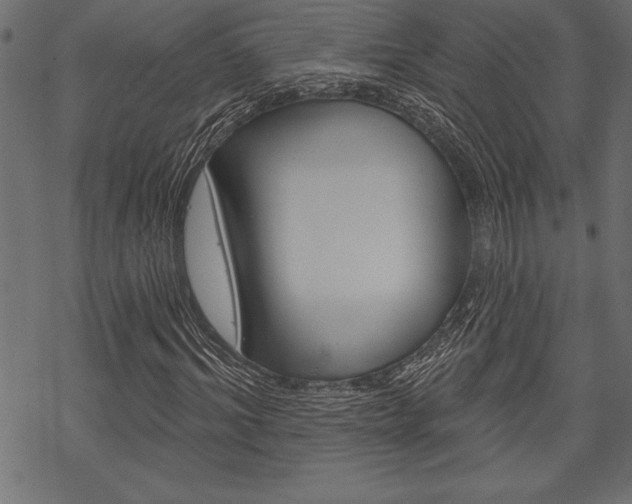 X0000070180964200605260936