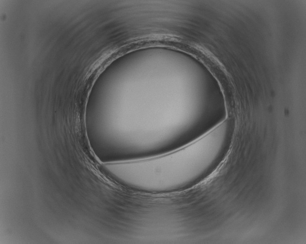 X0000070180969200605260936