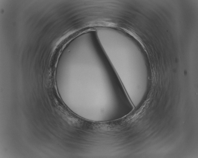 X0000070180971200605260936