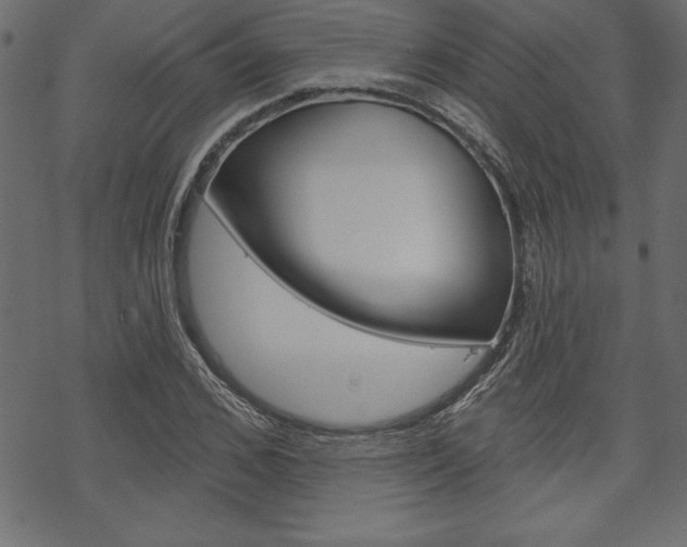 X0000070180976200605260936