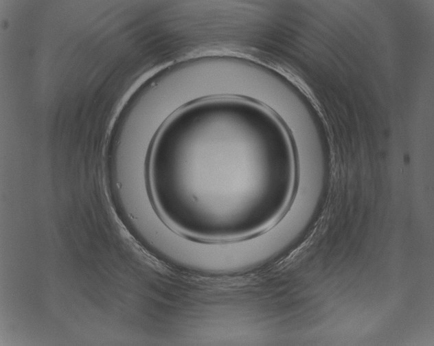 X0000070180984200605260935