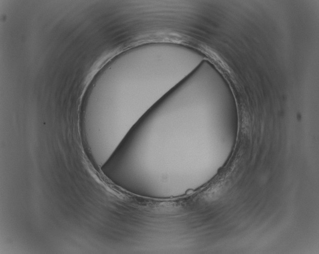 X0000070180986200605260935
