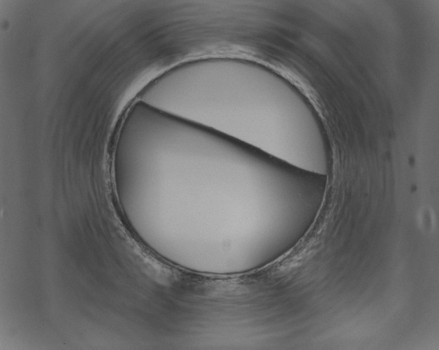 X0000070180990200605260935