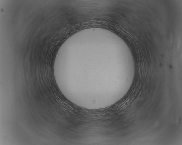 X0000070181010200605260934