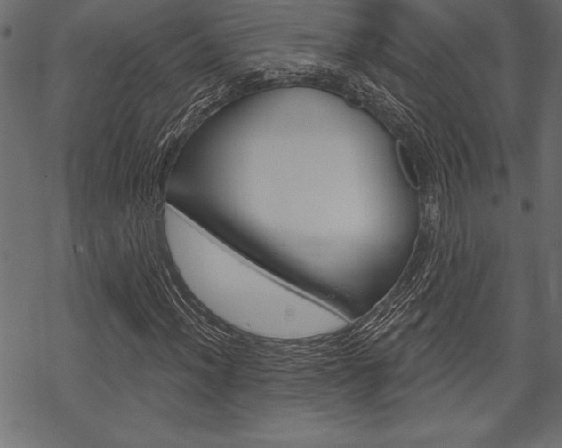 X0000070181012200605260934