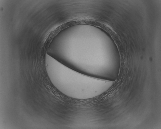 X0000070181016200605260934