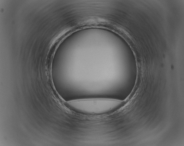 X0000070181018200605260934