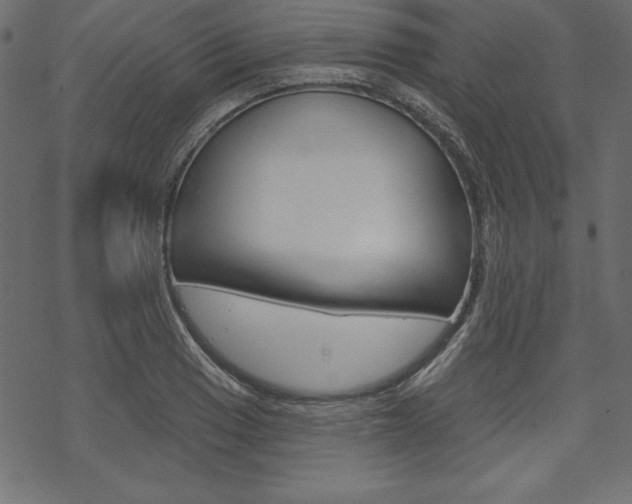 X0000070181033200605260935